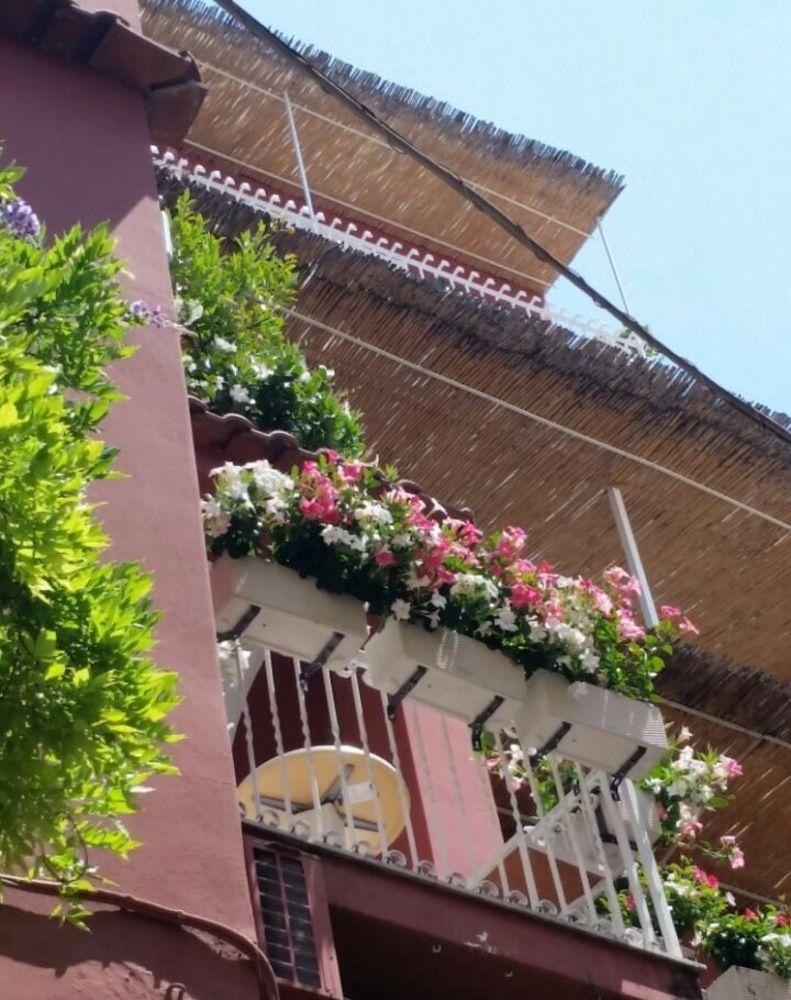 Villa La Tartana Позитано Экстерьер фото